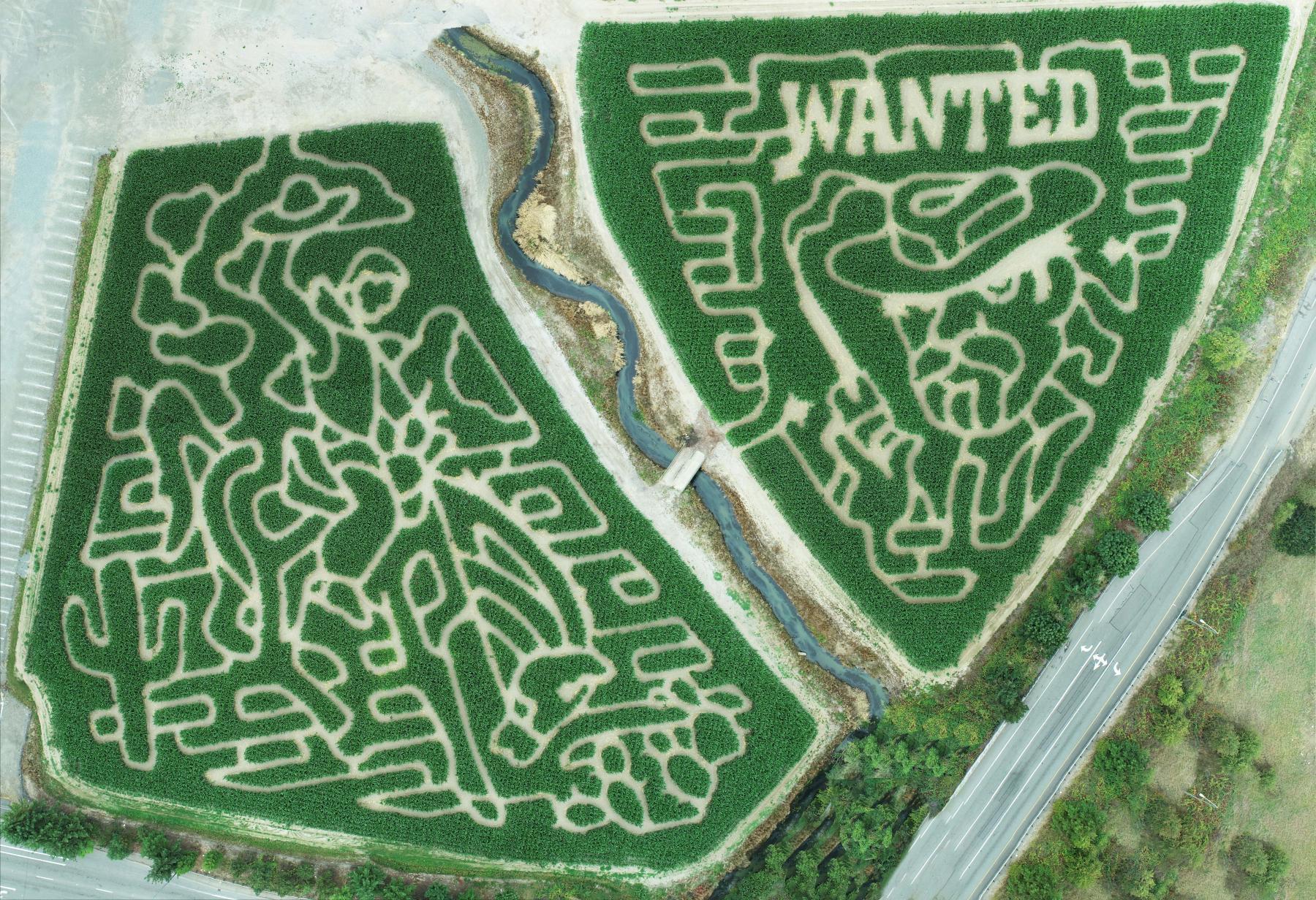 2025 Wild Wild West Corn Maze